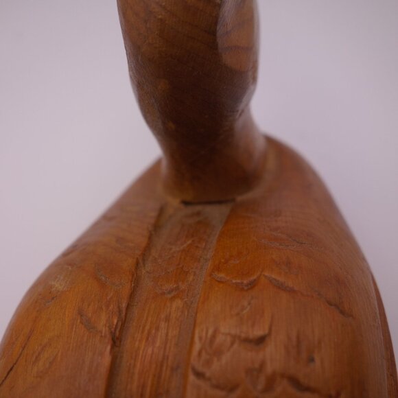 Wood Duck - Picture 11 of 16